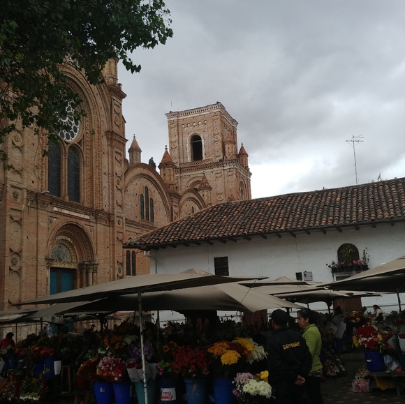 Meet your Posher, - Picture 5 of 8